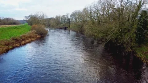 Pov flight down center of calm river tees Stock Footage