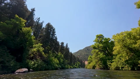 POV floating down the Provo River on a sunny day in Utah Stock Footage 341829436