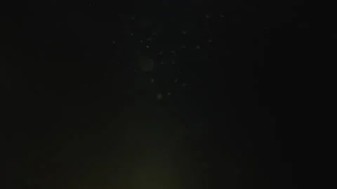 POV of Floating Dust While Walking Through a Cave Lava Tunnel With Headlamp Видео 232167700