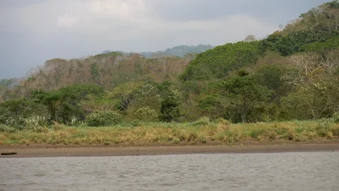 POV-Floating River Tarcoles Costa Rica passing rain forest Stock Footage 107798703