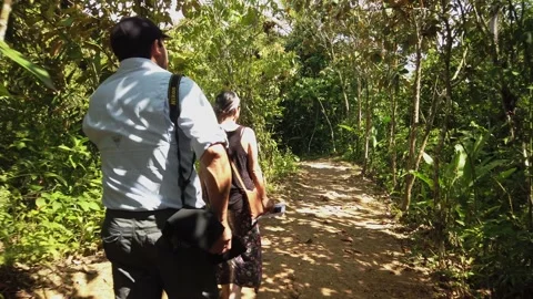 POV following couple down path thru jungle Video stock 206503000