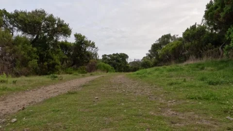 POV footage of dirt path through lush green landscape with trees and cloudy.. Stock Footage 332630126