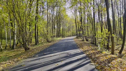 POV Forest Path in Spring: Running Track Through Green Woods, Sun Light 스톡 동영상 292968396
