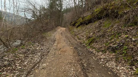 POV Forest Path Walk 4K - Moody Late Winter Nature for Storytelling &amp; Wellness Vídeos de archivo 332171985