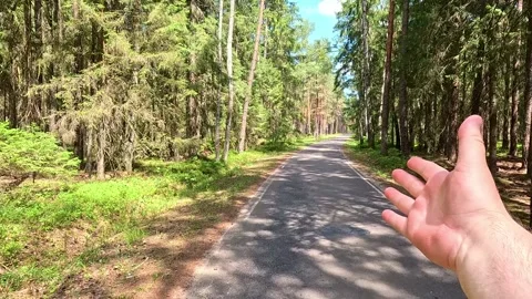 POV Forest Road Walk With Hand Reaching Forward Gesture Stock Footage 340398357