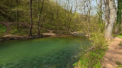 POV Forest Walk and Pause by River - 4K Spring Nature Moment and Water Stream Stock Footage 332728416