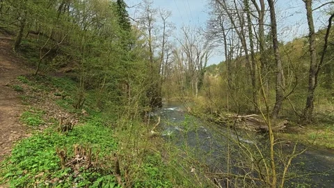 POV Forest Walk Between Trees &amp; Uphill Climb - 4K Spring Nature Hiking Journey Video stock 332728804