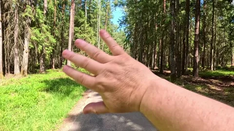 POV Forest Walk With Raised Hand Waving Fingers Spread Stock Footage 339080919