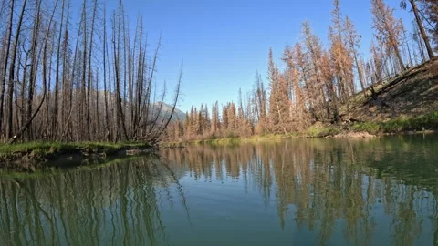 POV from the front of a canoe moving along a river surrounded by burnt forest fr Stock Footage 316328926