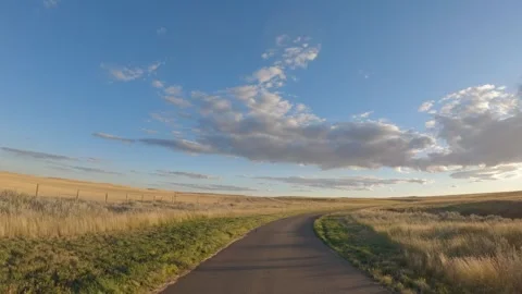 POV from the front of a car driving on a paved narrow road through a ranch under Stock Footage 306093779