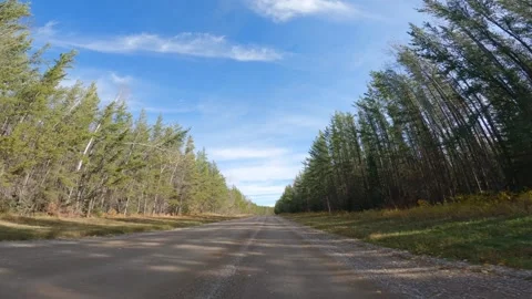 POV from the front of a car driving through a park forest on a sunny autumn day Stock Footage 336506849