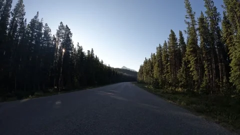 POV from the front of a vehicle while driving along a deserted northern park Stock Footage 334945439
