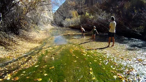 POV, Go Pro view of man sliding into desert stream pool in Southern Utah. Video stock 99372731