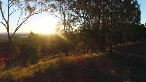 POV Hiding Behind Long Grass Looking at Sunset  Vídeo Stock 78247257