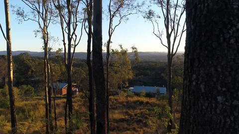 POV Hiding Behind A Tree Looking Into Setting Sun Stock Footage 78234008