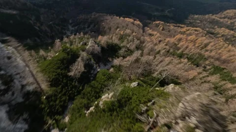 POV High-Speed Dive Down Steep Alpine Ridge, 4K Stock Footage 321204427