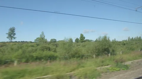 POV: High-speed Train fast moves past a fields and small trees in the summer Stock Footage 80460872