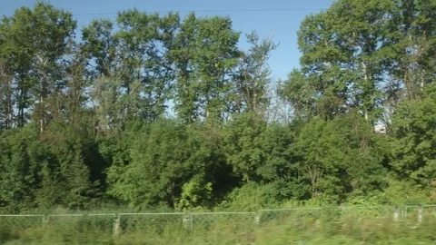 POV: High-speed Train moves past a row of trees Stock Footage 80460377