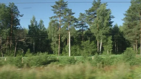 POV: High-speed Train moves past a low forest in a sunny day Видео 80460418
