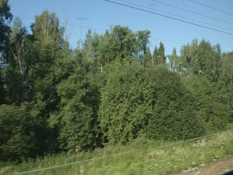 POV: High-speed Train moves past a trees in a summer day Stock Footage 80460469