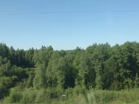 POV: High-speed Train moves past a woods and a village Stock Footage 80460744