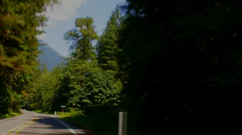 POV Highway driving 02 - forest time lapse Stock Footage