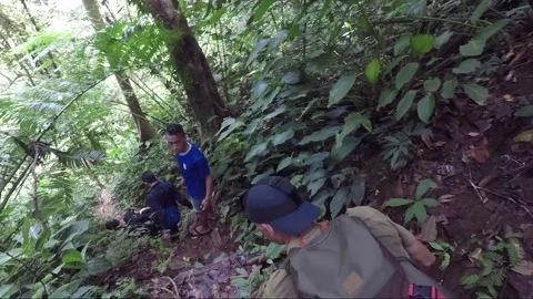 POV Hikers descend from mountain on jung... | Stock Video | Pond5