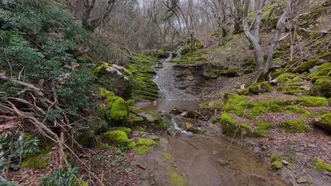 POV hiking along a small forest stream with action camera, first person view of Video stock 330120022