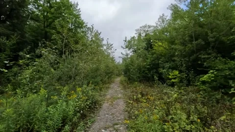 Pov hiking on a stony path with trees on both sides cloudy blue sky canada l Stock Footage 212948979