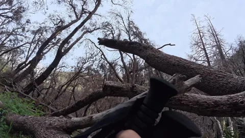 POV Hiking Through Burned Forest Trail at Mount Baldy California Vídeo Stock 335153261
