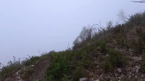 POV Hiking Through Burned Forest Trail at Mount Baldy California Vídeo Stock 335155945