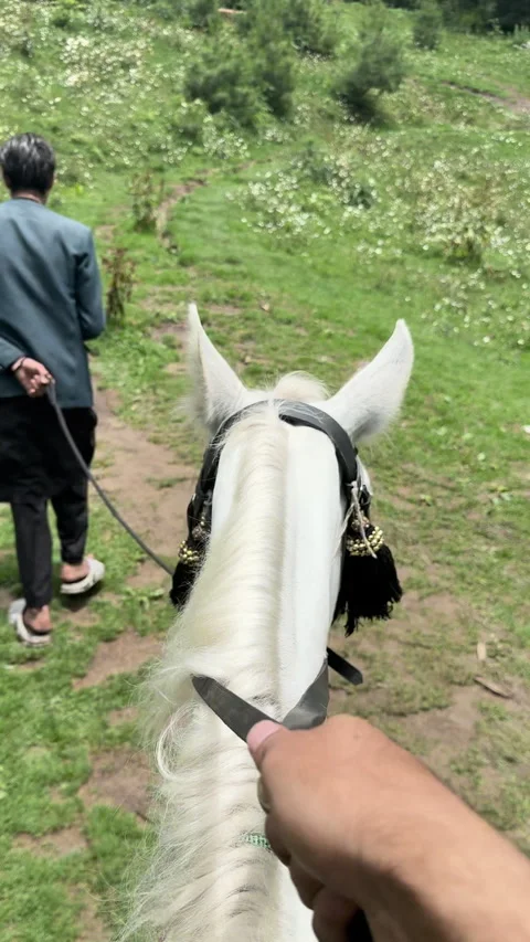 POV Horseback Trail on Hillside 動画素材 336468591