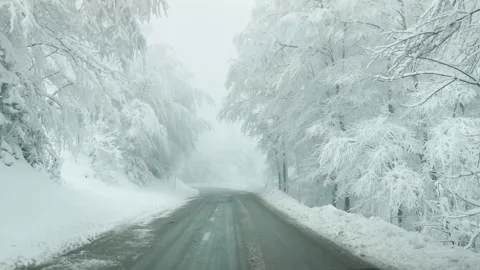 POV: Idyllic wintry forest surround you while driving down empty asphalt road. Stock Footage 148949150