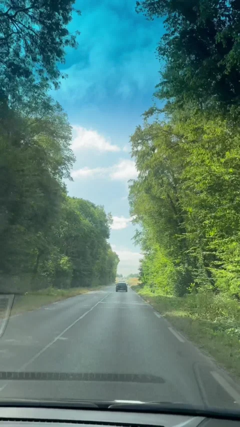 POV from inside a car driving on a tree-lined country road. Stock Footage 346637844
