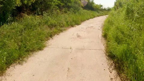 POV jogging or running through nature in Germany with GoPro Bodycam Vidéo 158353592
