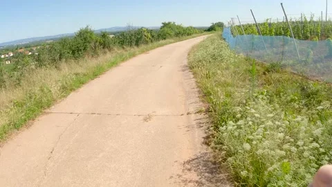 POV jogging or running through nature in Germany with GoPro Bodycam Stock-Footage 158353604