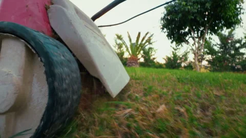 Pov of the lawnmower in the lawn Stock Footage 317620073