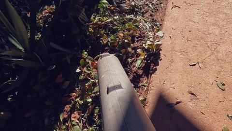 POV of leaf blower blowing leaves and tree needles on sunny ground Stock Footage 336225153