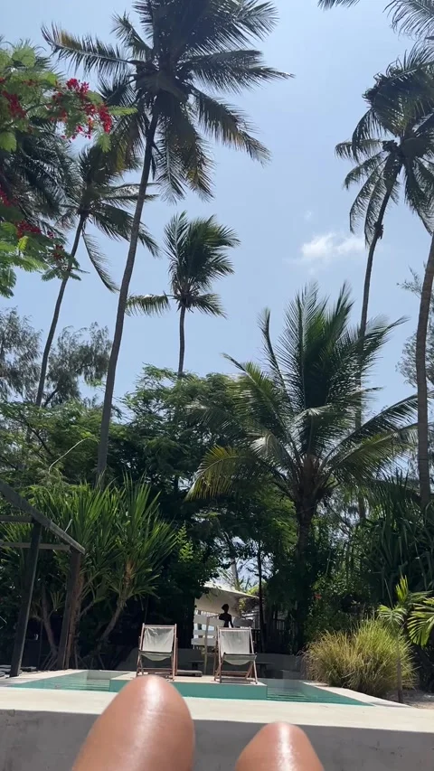 POV legs poolside view palm trees tropical resort Paje Zanzibar HD vertical Stock-Footage 342170553