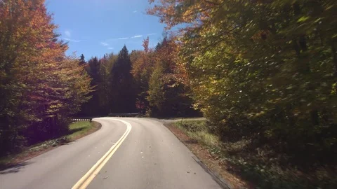 POV LENS FLARE: Driving through beautiful colorful forest in sunny autumn season Stock Footage