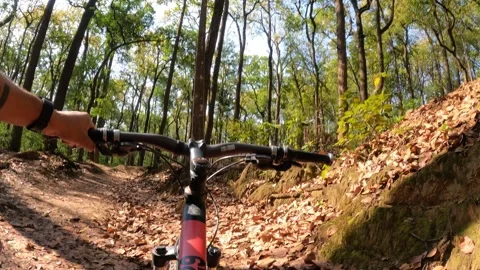 POV of a lone cyclist taking a stroll in forest Stock Footage 243813962