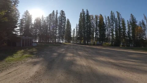 POV looking backwards while driving along a gravel park road through a northern Stock Footage 334945314