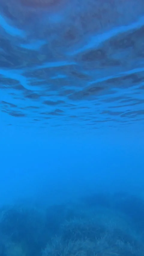 POV Looking Up at the Sea Surface from Underwater in Kefalonia Greece Stock Footage 342819642