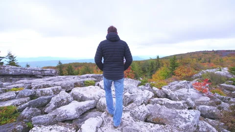 Pov man back walking at Bear rocks trail of Dolly sods in autumn, West Virginia Video stock 160216400