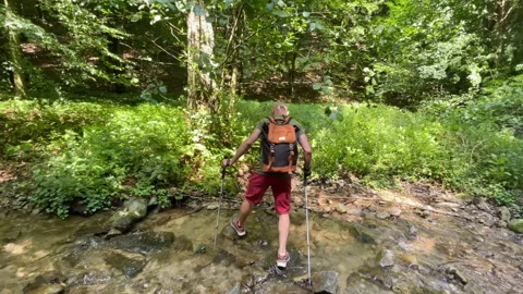 POV of Man Crossing Shallow Stream in Forest with Trekking Poles Vidéo 344349310