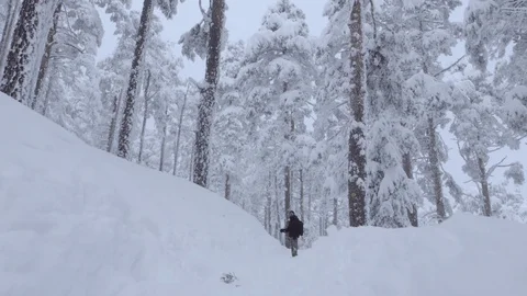 POV to man in the freezed forest Stock Footage 86226385