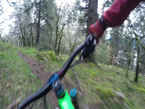 POV Of Man Mountain Biking Through Spooky Forest Stock Footage 78076640
