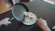 Pov Of A Man Putting Fried Eggs In A Plate Stock Footage