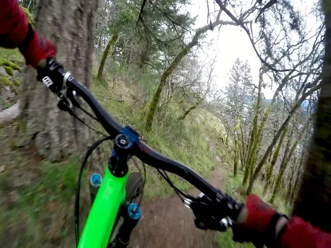 POV Of Man Riding Through Scenic Forest With Ocean Views Stock Footage