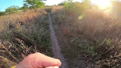 POV man running along the trail, wildlife Stock Footage 114564307